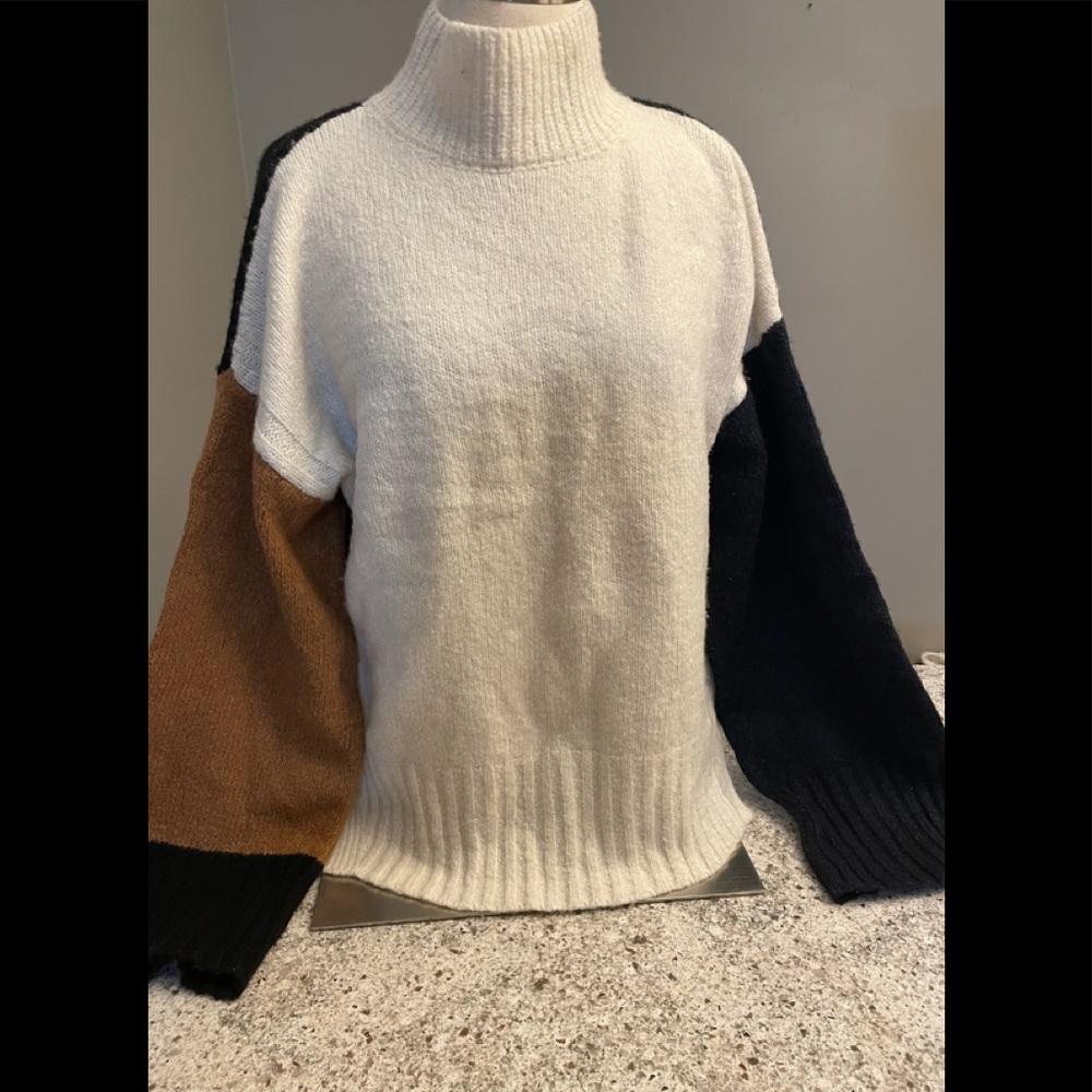 Frame oversized colorblock turtleneck sweater